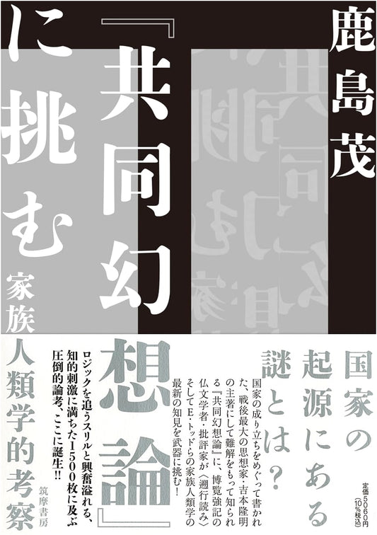 Challenging the Collective Illusion Theory: A Family Anthropological Study by Shigeru Kashima