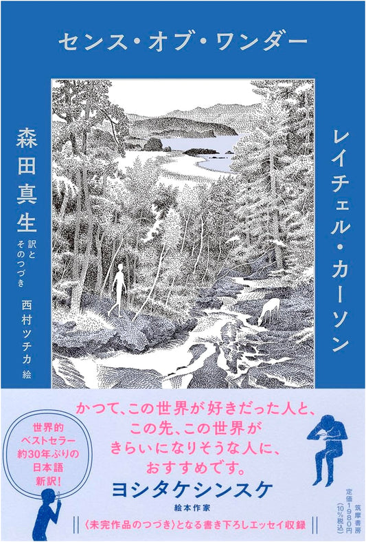 A Sense of Wonder by Mao Morita
