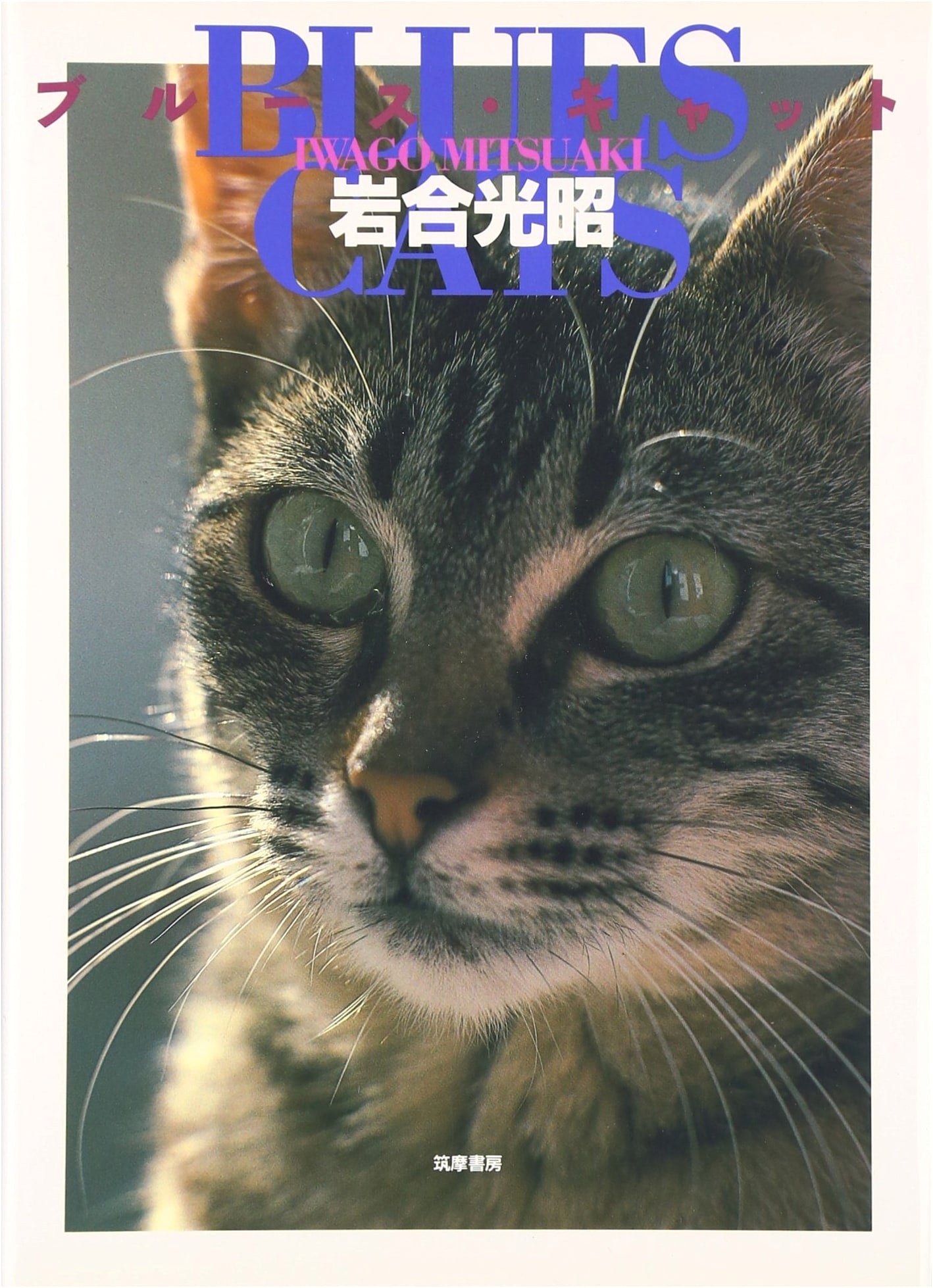 Blues Cat by Mitsuaki Iwago