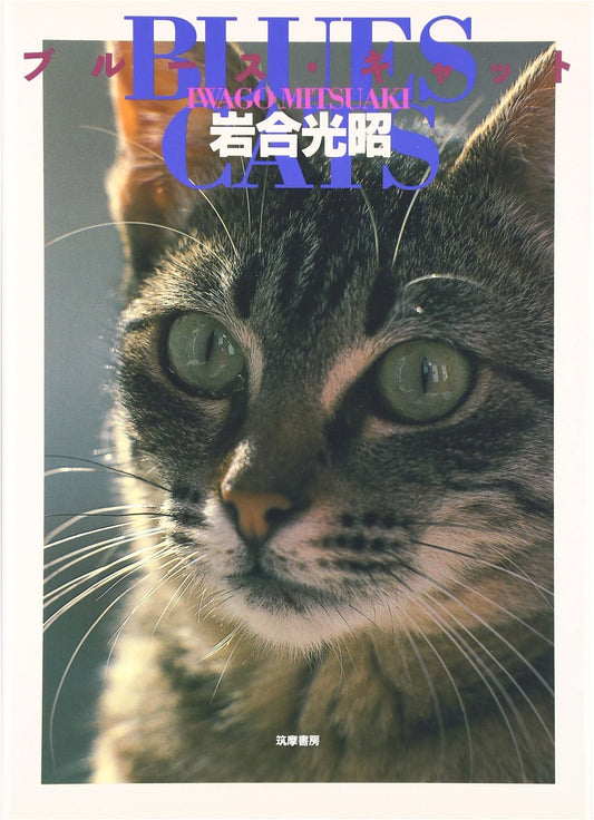 Blues Cat by Mitsuaki Iwago