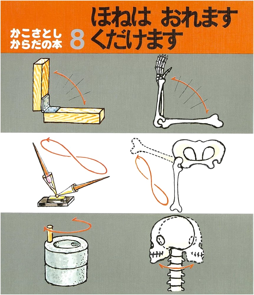 Bones Break, Bones Shatter: Satoshi Kako's Book about the Body