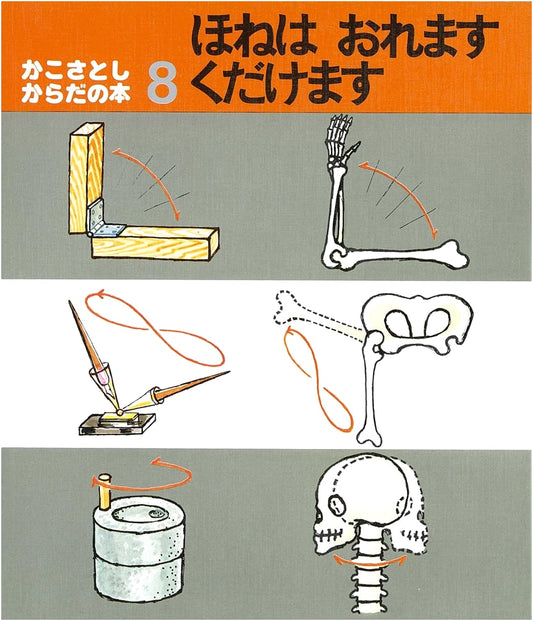 Bones Break, Bones Shatter: Satoshi Kako's Book about the Body