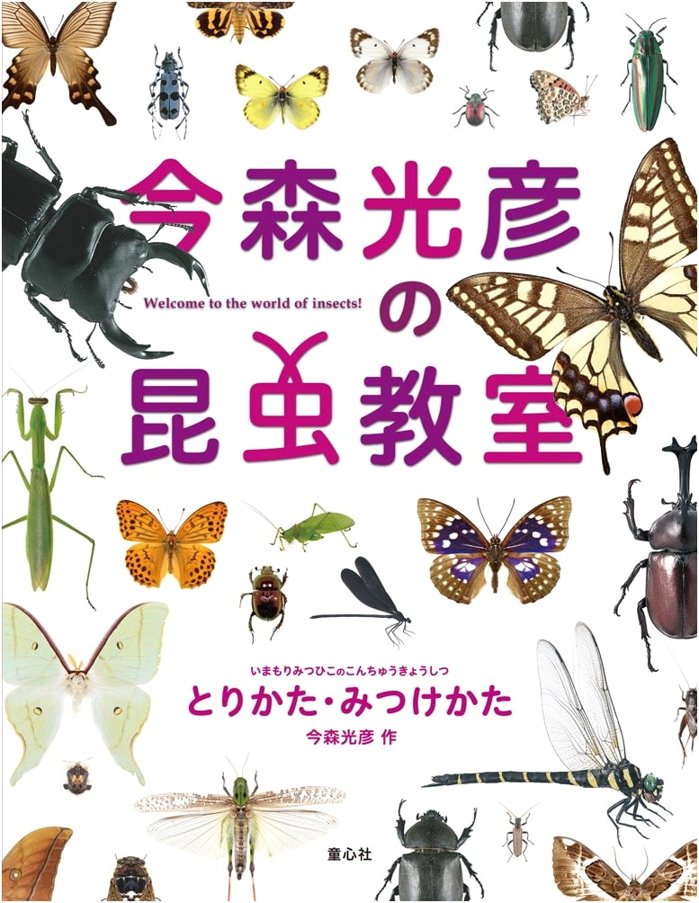 Mitsuhiko Imamori's Insect Classroom: How to Catch and Find Them