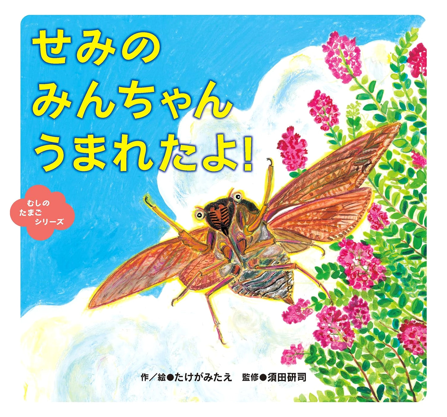 Semi no Min-chan is Born! (Insect Egg Series)