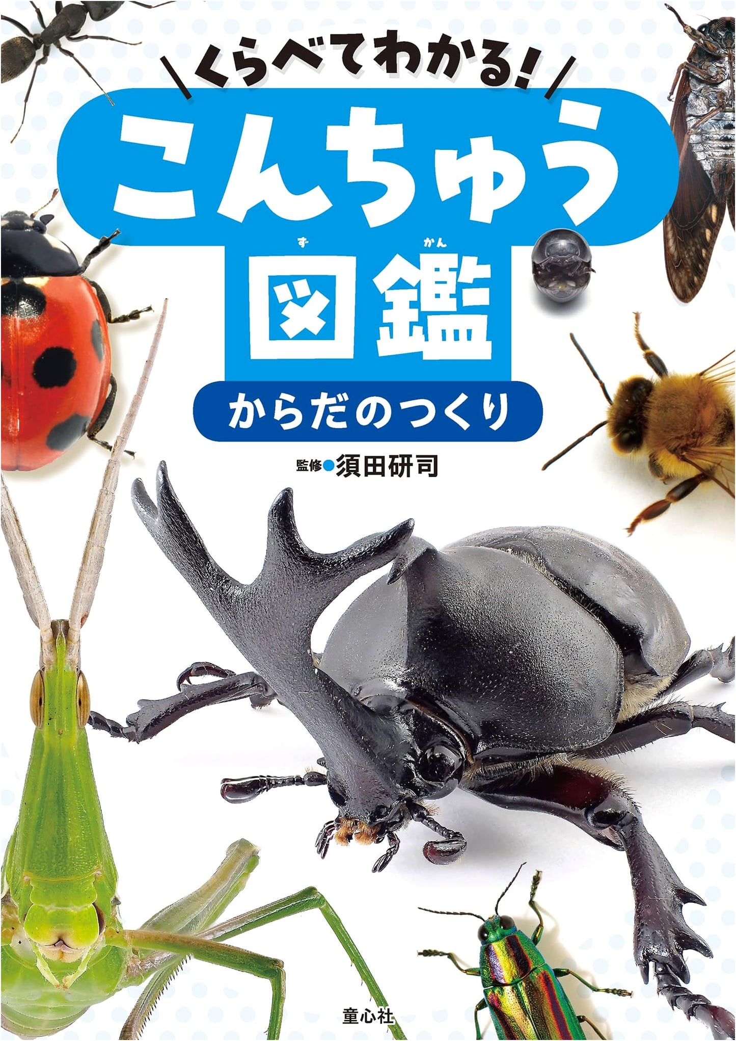 Learn by Comparing: Insect Body Structures Encyclopedia