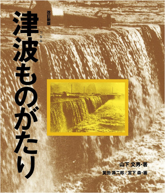 The Tsunami Story: Revised New Edition