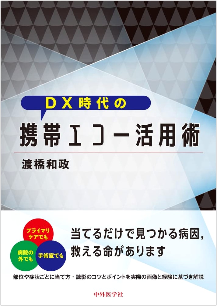 Portable Echo Utilization Techniques in the DX Era