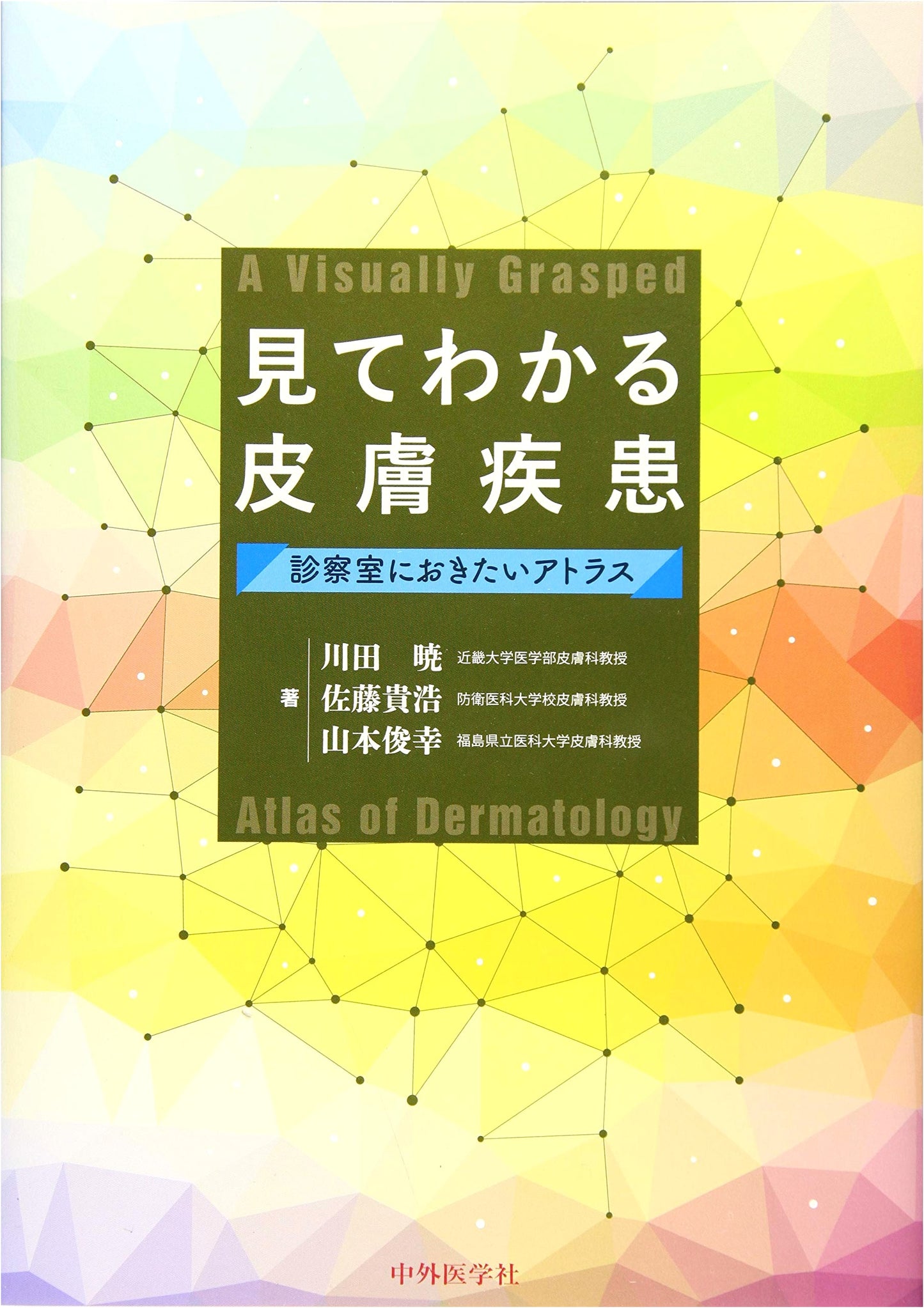 Visual Guide to Skin Diseases: An Essential Atlas for the Examination Room