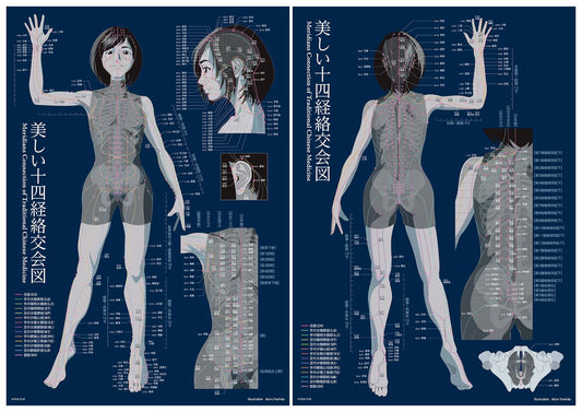 Beautiful Illustrations of the Fourteen Meridians