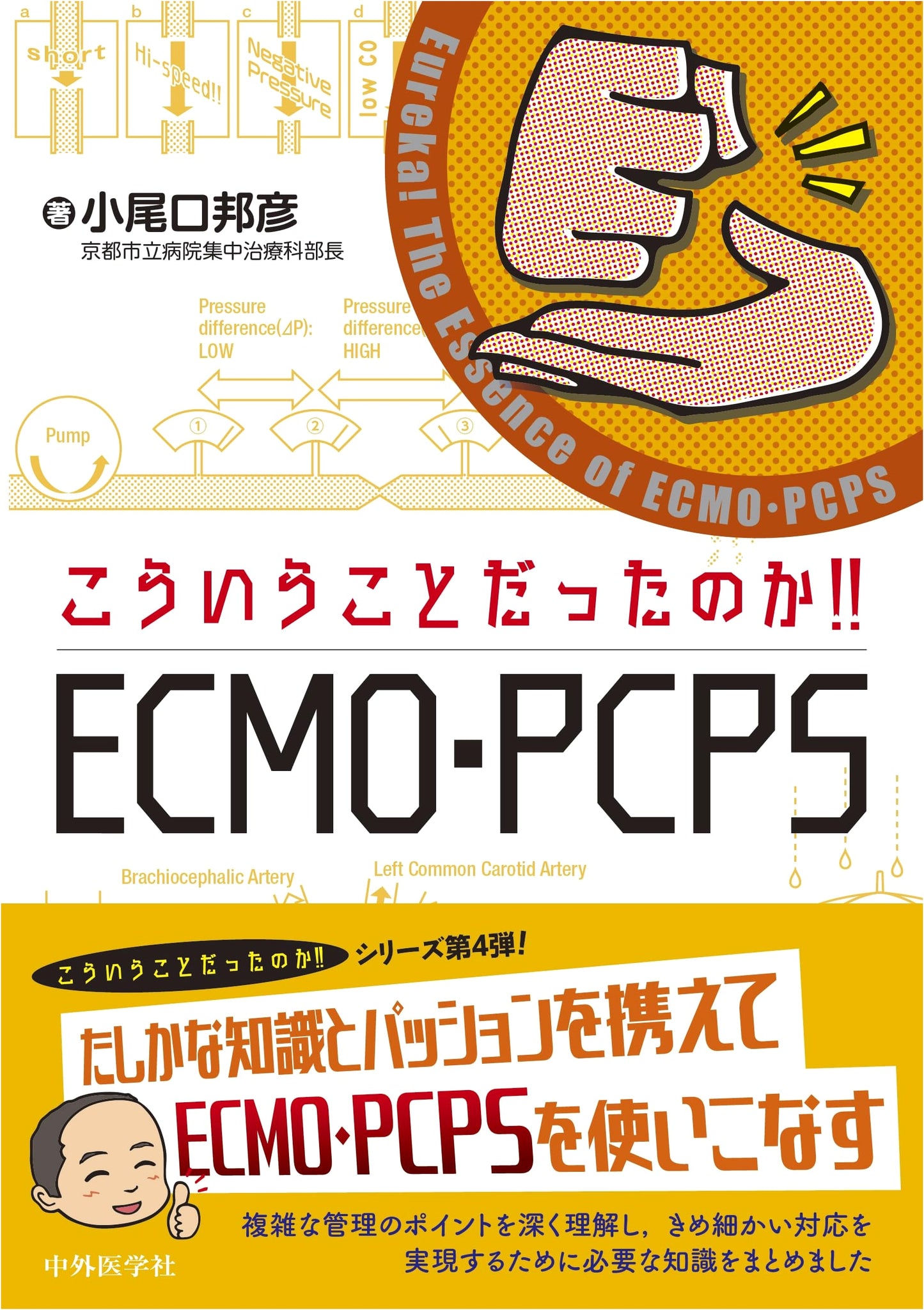 So That's How It Is! Understanding ECMO and PCPS in Critical Care