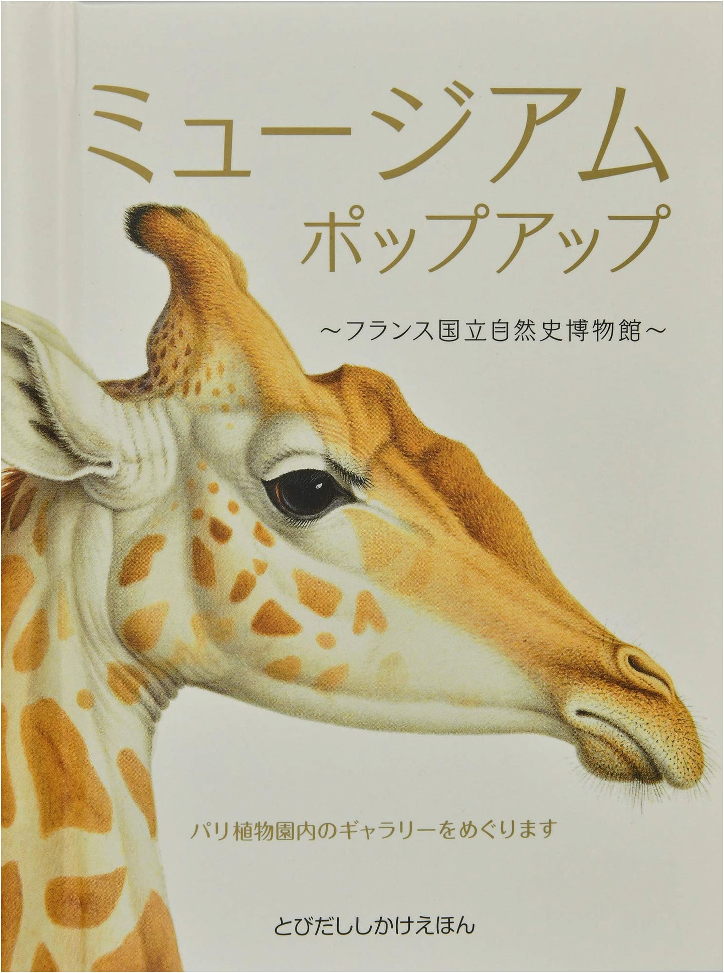 Museum Pop-Up: French National Museum of Natural History (Pop-Up Picture Book)