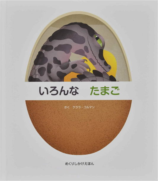 Various Eggs (Lift-the-Flap Picture Book)