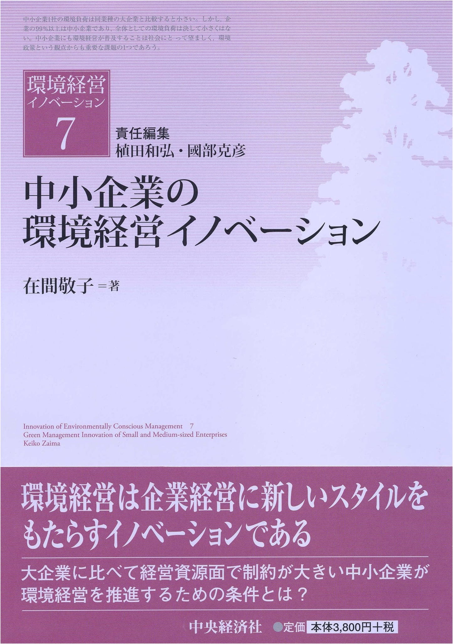 Environmental Management Innovation for Small and Medium-sized Enterprises