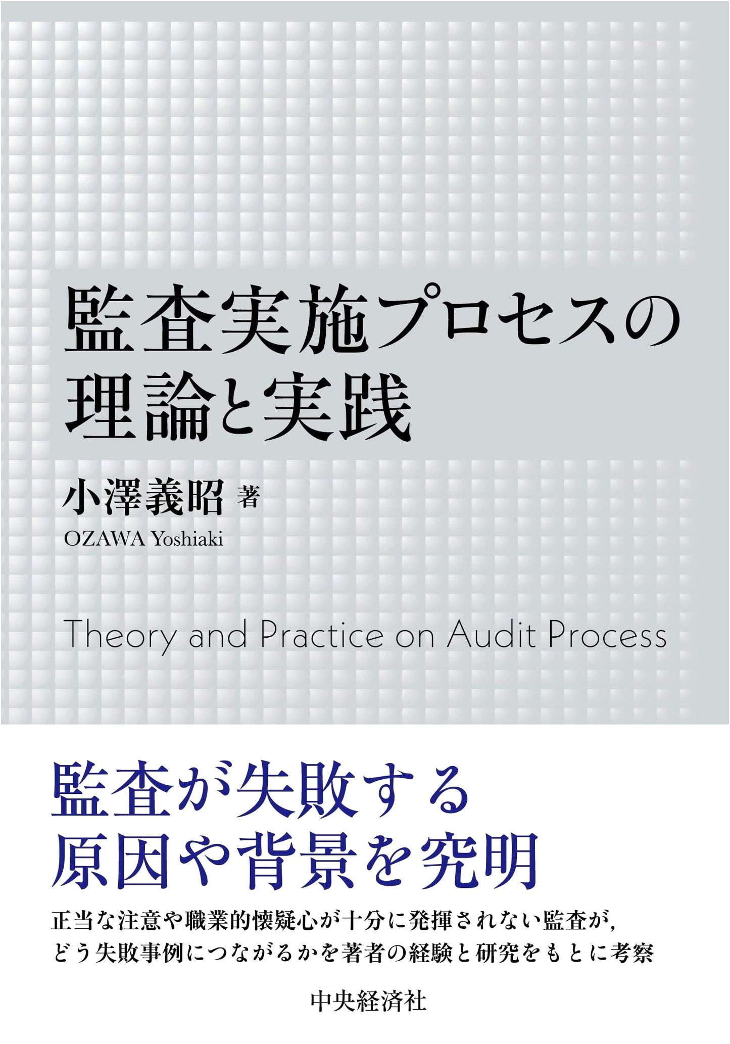 The Theory and Practice of the Audit Execution Process