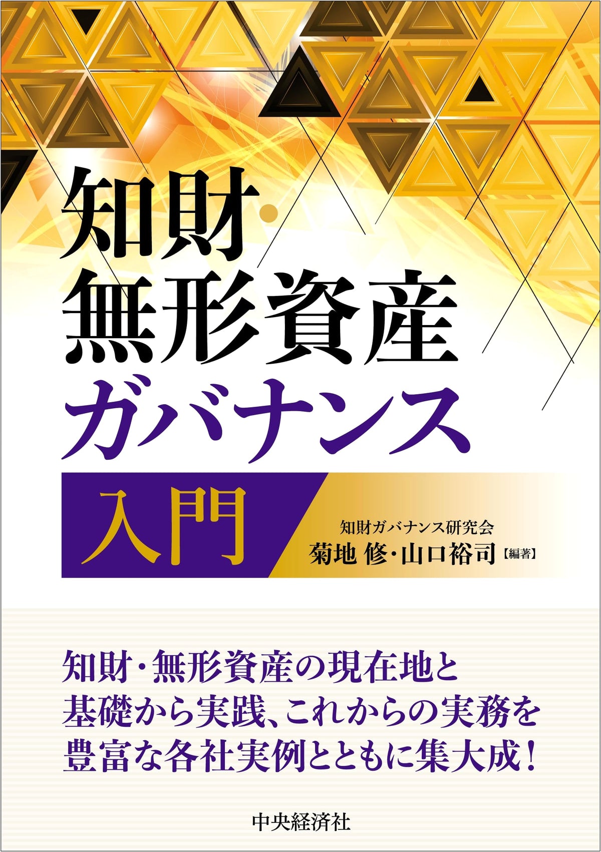Introduction to Intellectual Property and Intangible Asset Governance