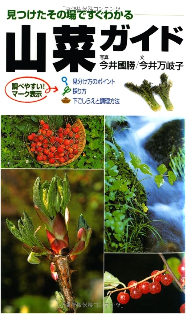 Field Guide to Wild Edible Plants: Identify Instantly on the Spot