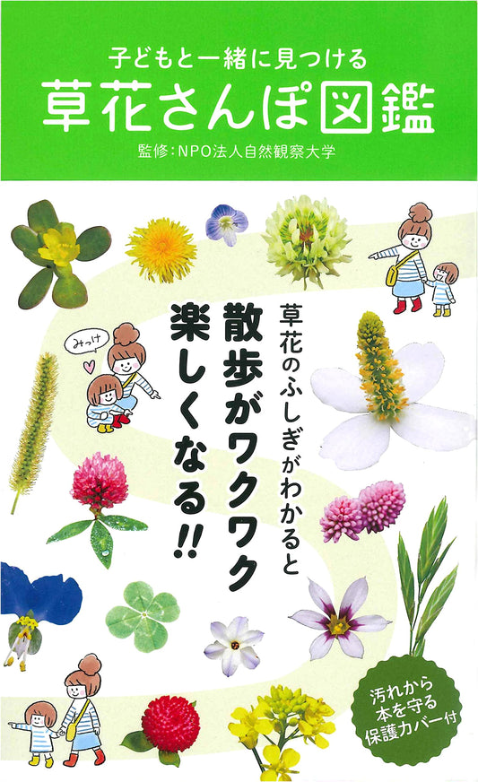 Kids' Nature Walk: Discovering Wildflowers and Plants - An Illustrated Field Guide