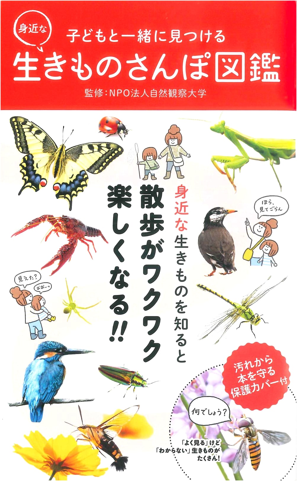 Finding Nearby Creatures Together with Children: An Illustrated Nature Walk Guide