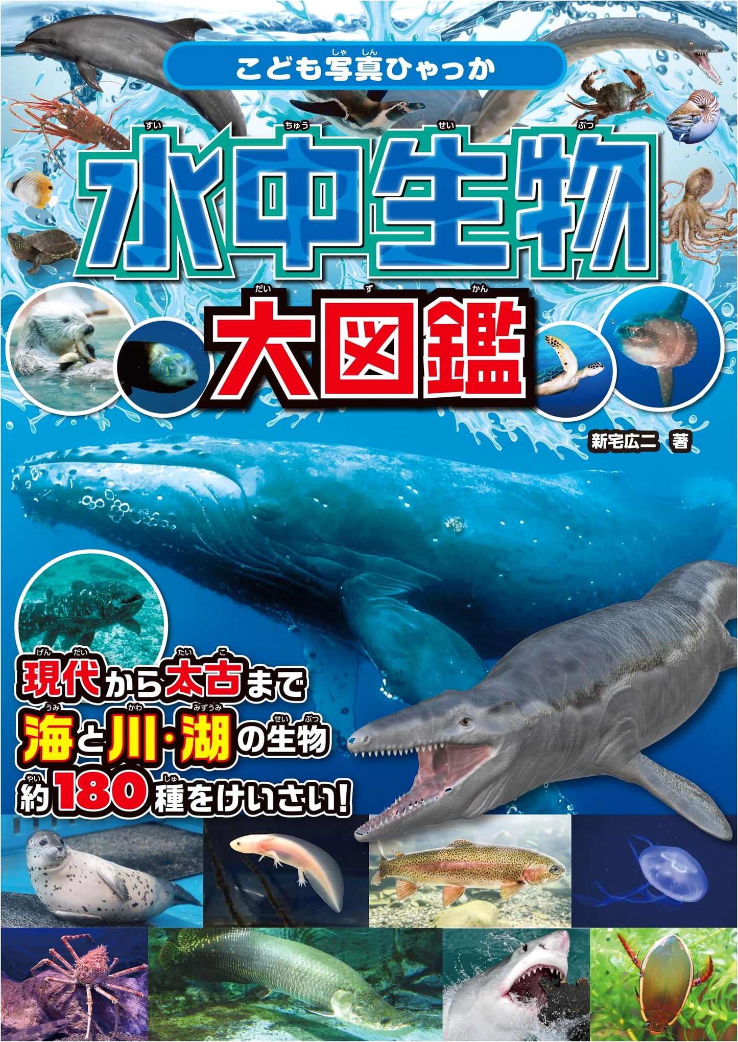 Illustrated Encyclopedia of Underwater Creatures (Children's Photo Encyclopedia)