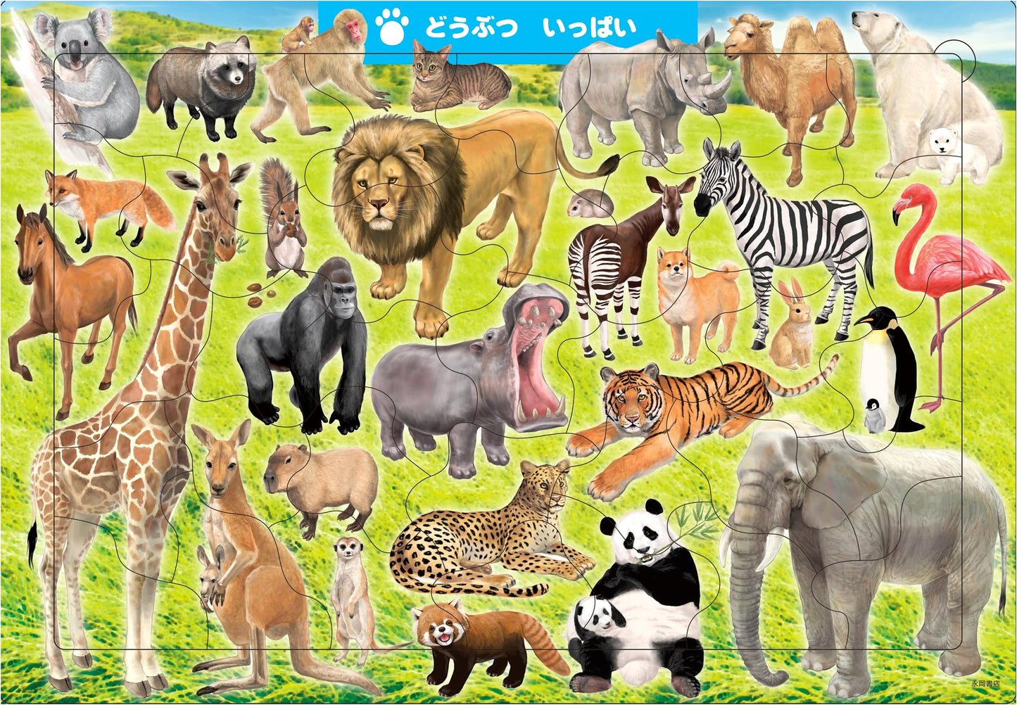 B02 Animals Galore 35-Piece Jigsaw Puzzle for Smart Kids
