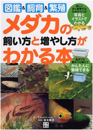 The Complete Guide to Keeping and Breeding Medaka Ricefish