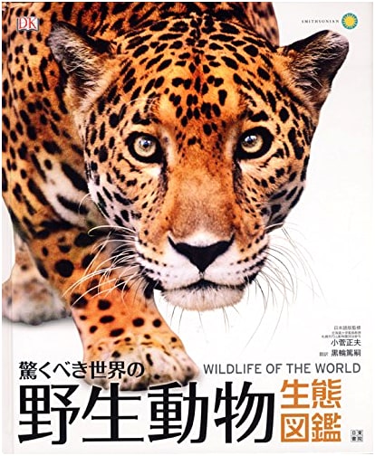 Astonishing World of Wild Animals: An Illustrated Guide to Ecology