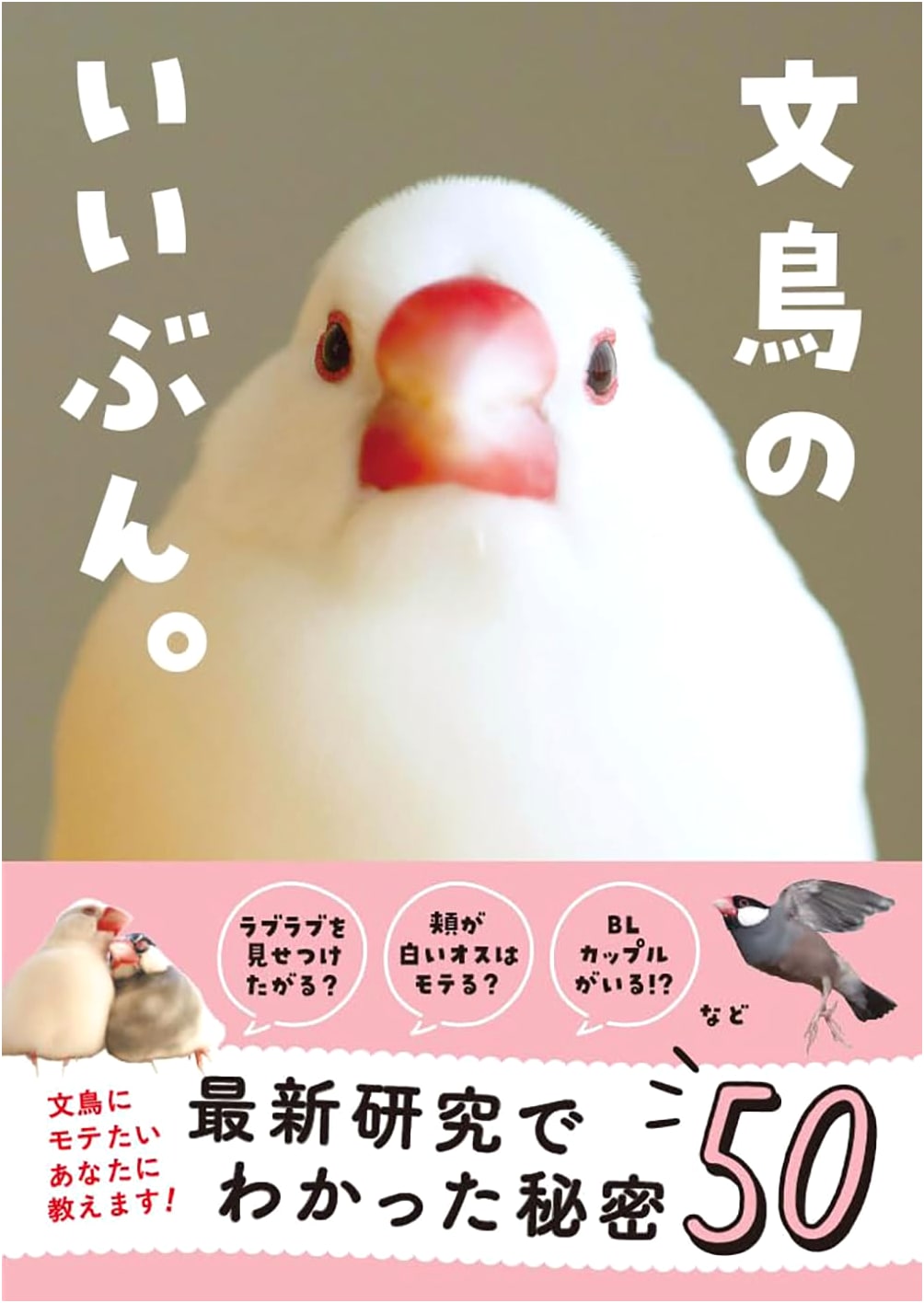 The Society Finch's Point of View by Sonoko Tomita
