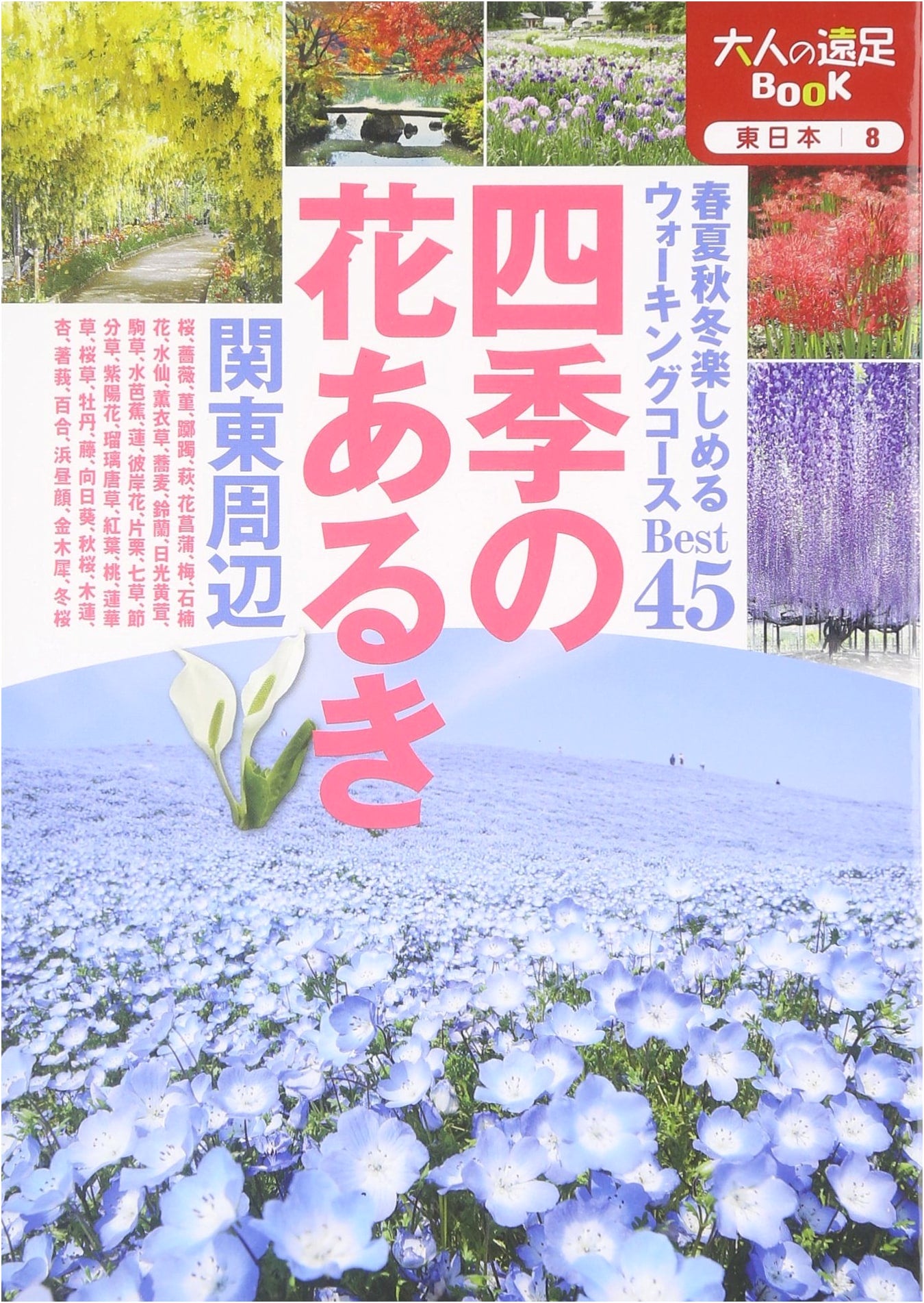 A Walking Tour of Seasonal Flowers: Around Kanto (Adult Excursion Book)