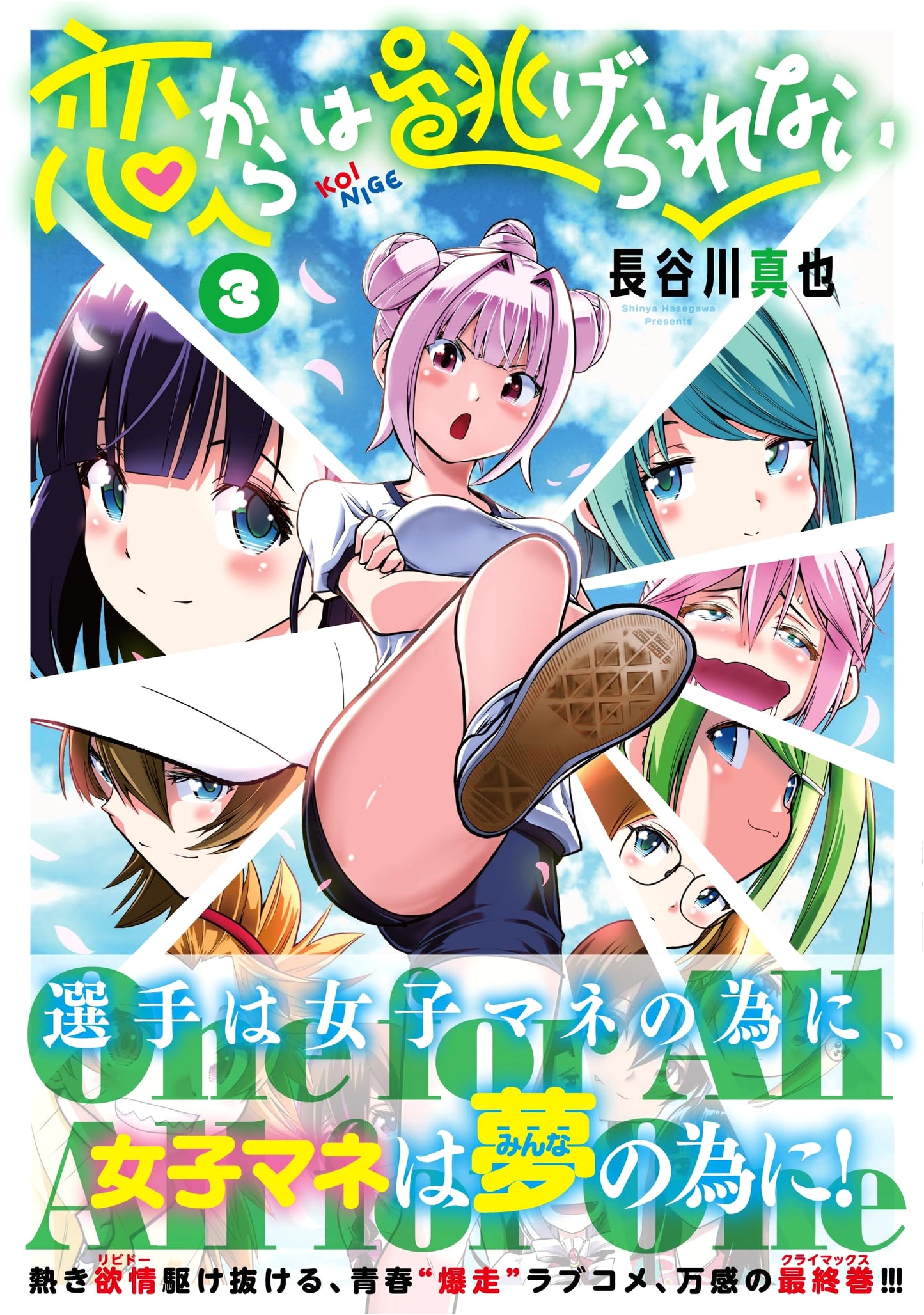 Koi kara wa Nigerarenai, Vol. 3 (Complete) (Nichibun Comics)