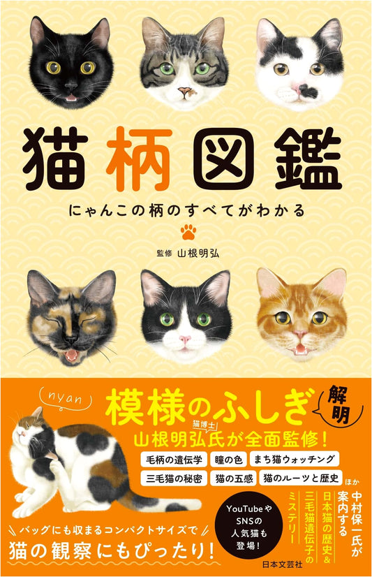 An Illustrated Guide to Cat Patterns
