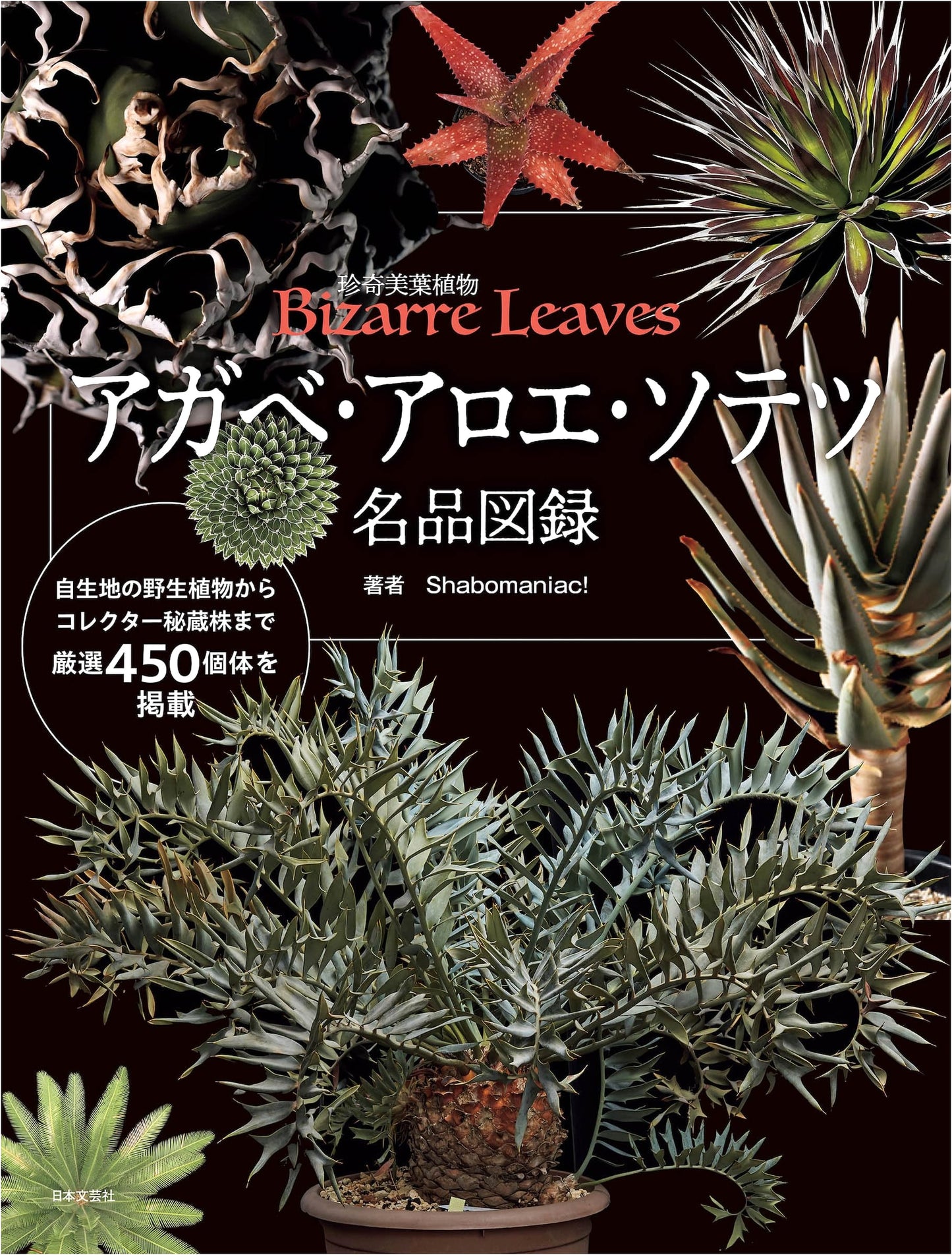 Illustrated Guide to Masterpiece Agave, Aloe, and Cycads