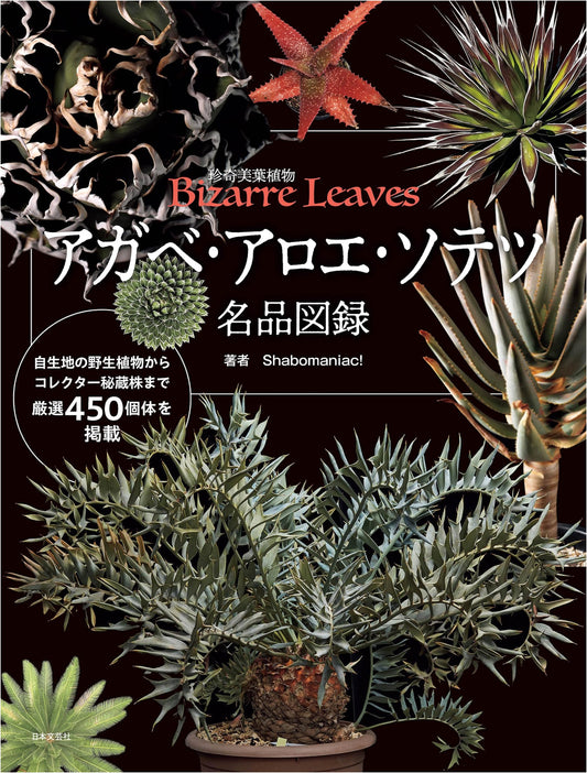 Illustrated Guide to Masterpiece Agave, Aloe, and Cycads