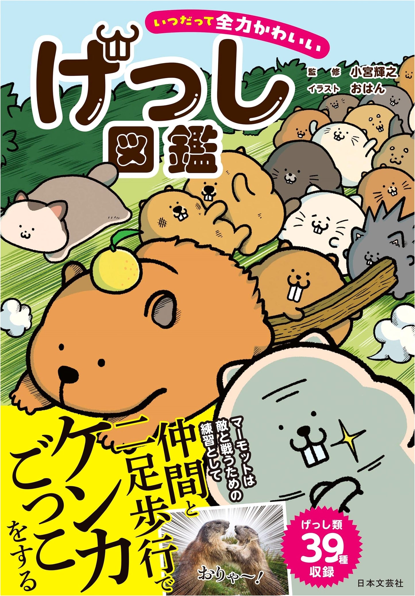 Always Utterly Adorable: An Illustrated Guide to Rodents