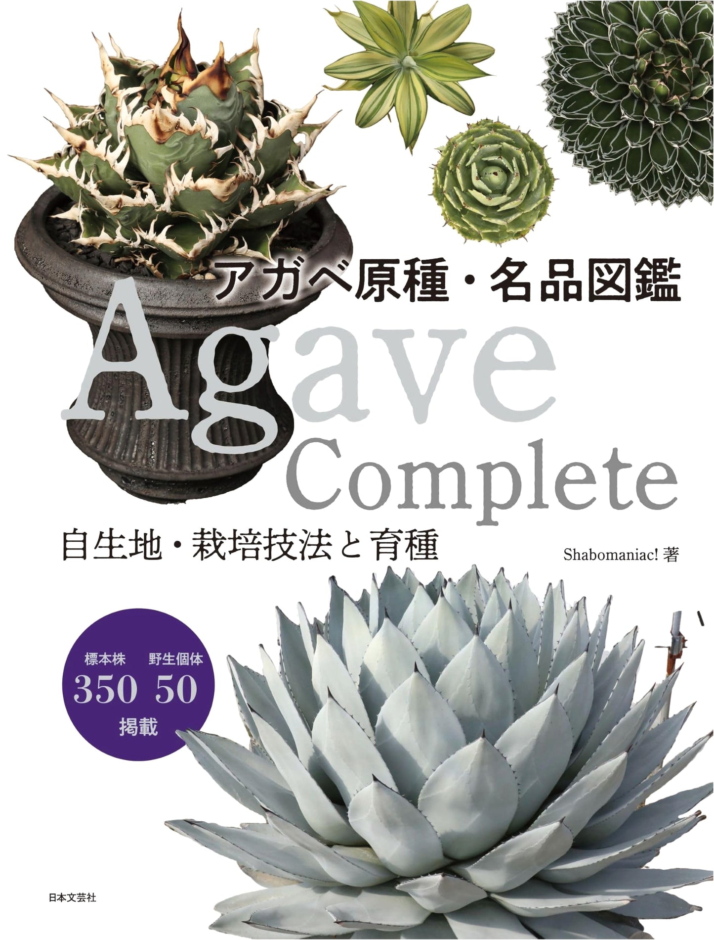 Agave: A Compendium of Species, Cultivars, and Breeding by Shabomaniac!