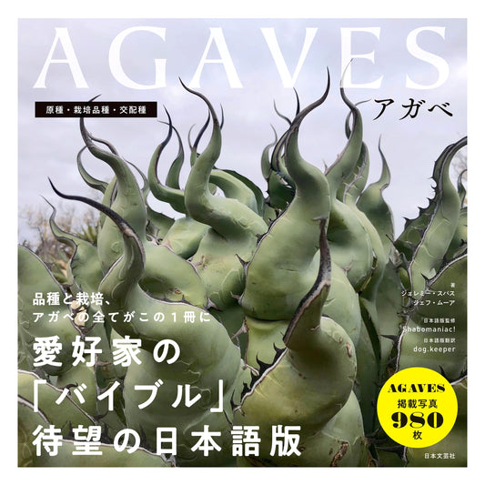 Agaves by Jeremy Spath