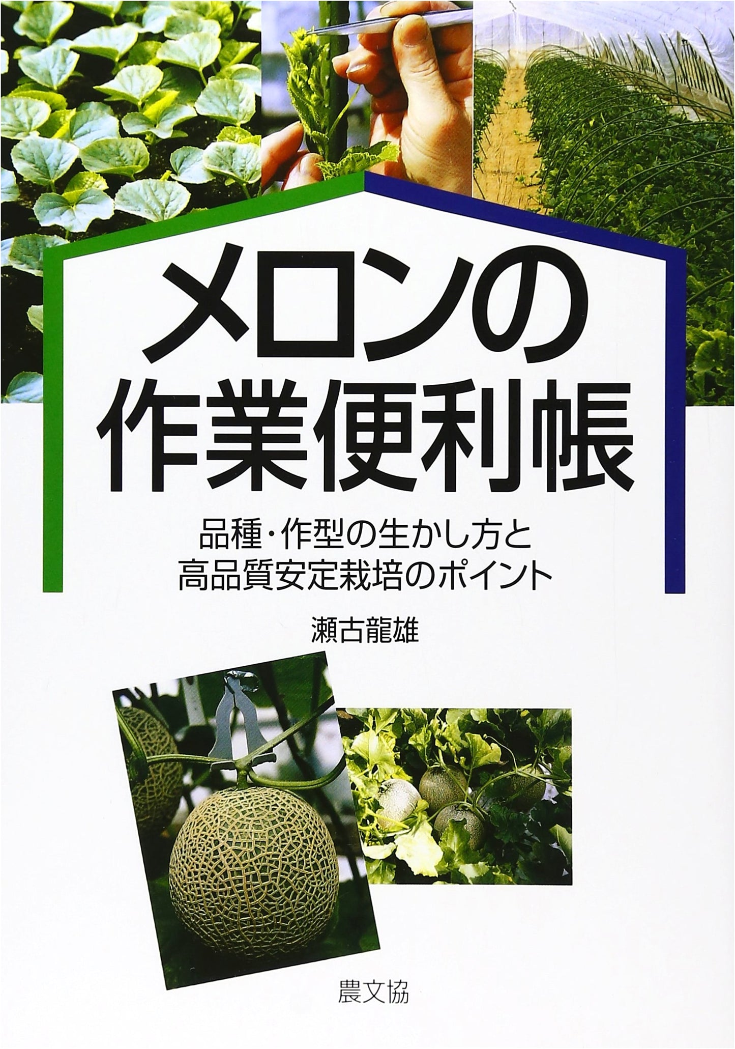 Melon Cultivation Handbook: Maximizing Varieties, Types, & Stable High-Quality Yields