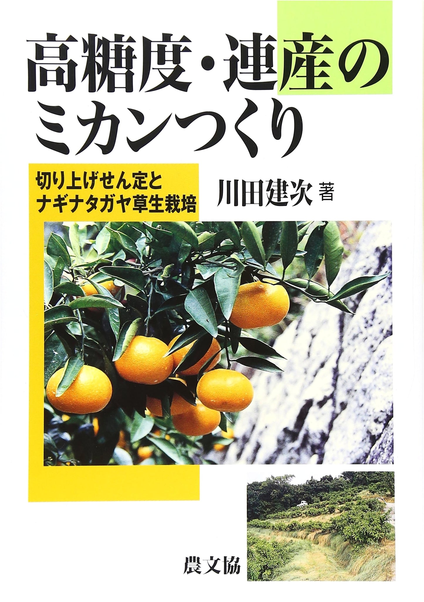 High-Sugar, Continuous Yield Mandarin Cultivation: Pruning & Orchard Grass Management