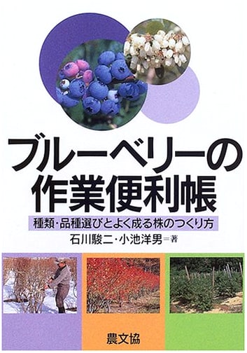 Blueberry Cultivation Handbook: Choosing Varieties & Growing Productive Plants