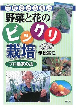 Surprising Cultivation of Vegetables & Flowers Captured in Photos: Pro Farmer Techniques