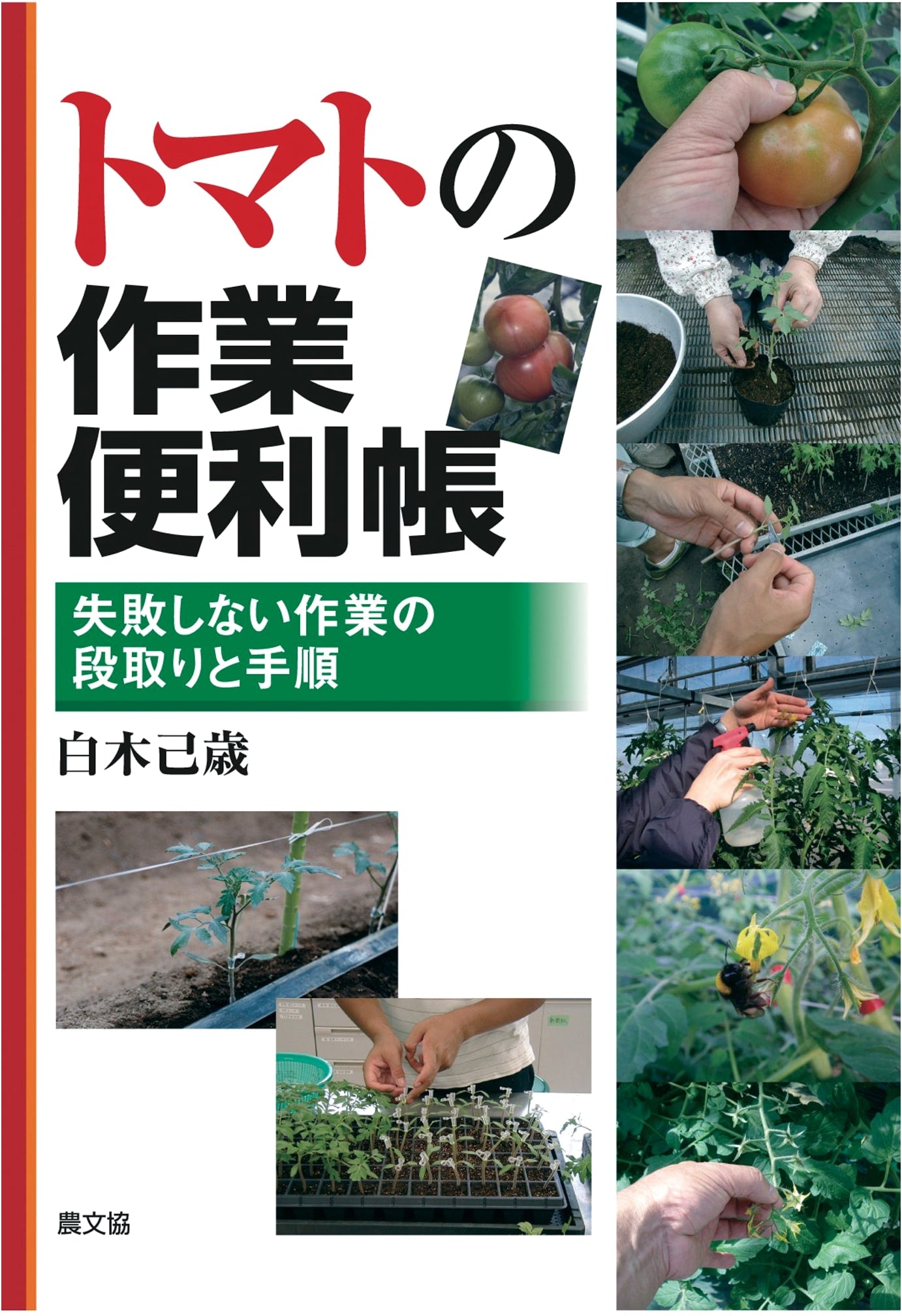 Tomato Farming Handbook: Step-by-Step Guide to Flawless Cultivation