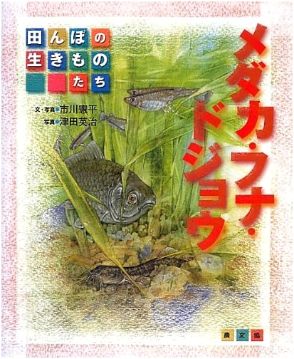 Medaka, Funa, Dojō: Life in the Rice Paddies