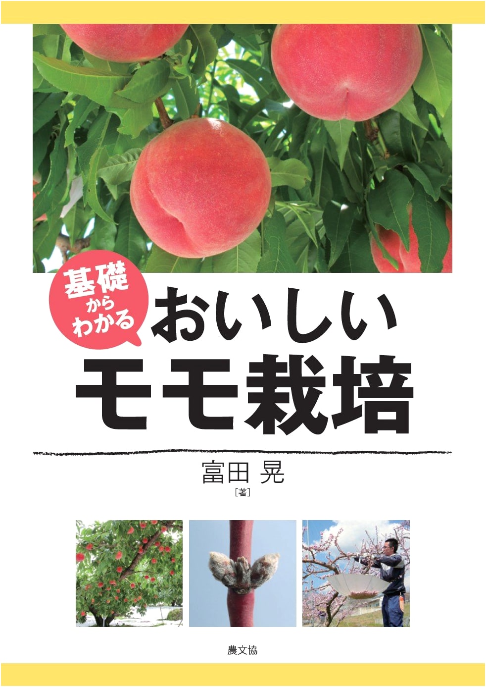Delicious Peach Cultivation: A Beginner's Guide from the Basics