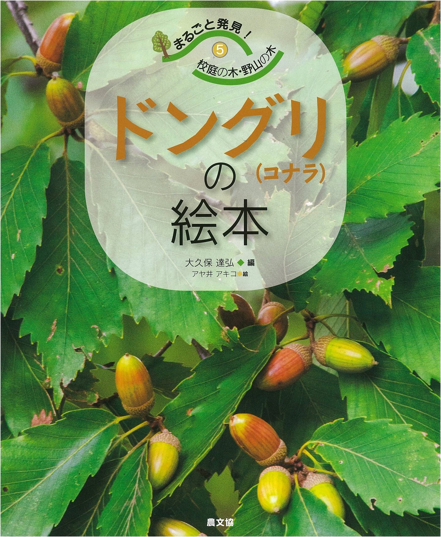 The Acorn (Konara Oak) Picture Book: Discovering Schoolyard & Wild Trees
