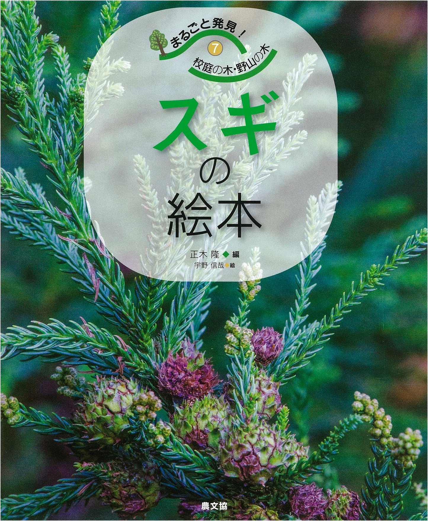 The Cedar Picture Book