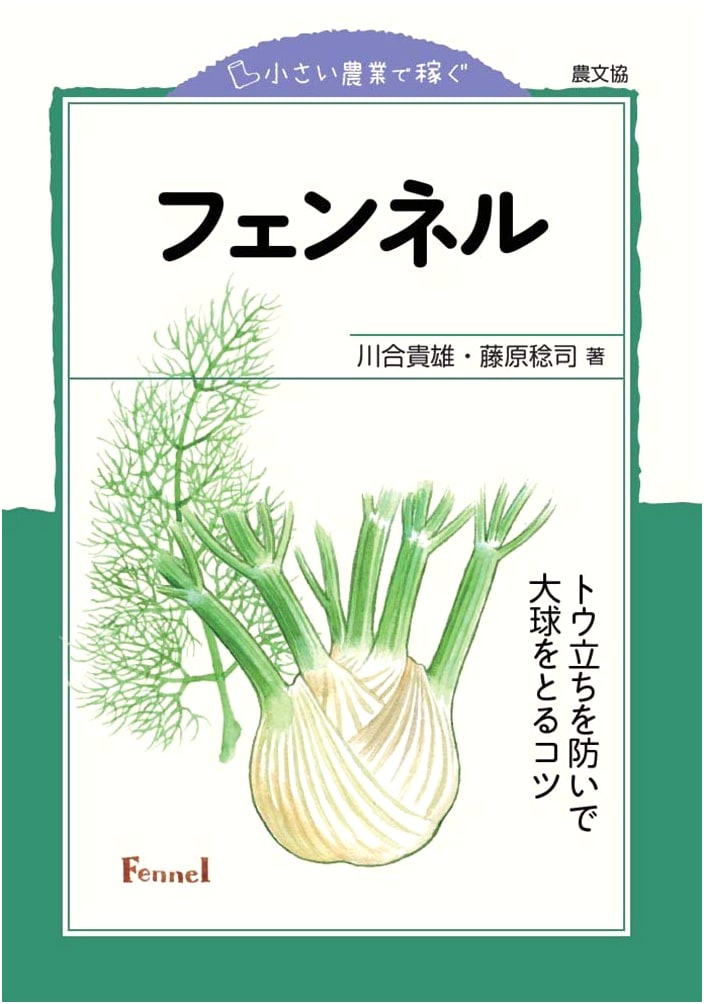 Earning with Small-Scale Agriculture: Fennel - Tips for Preventing Bolting and Growing Large Bulbs