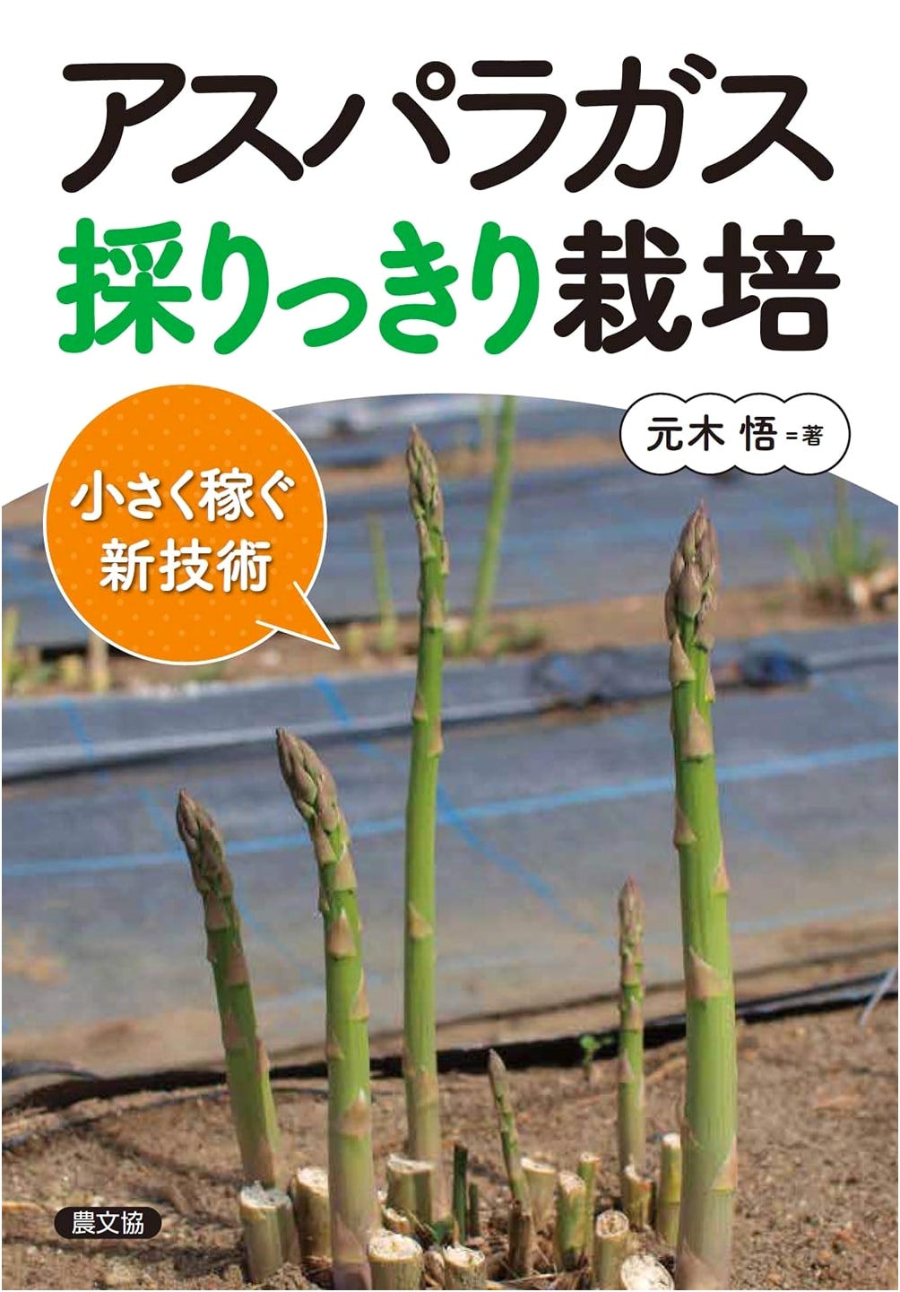 Asparagus: Single-Harvest Cultivation & New Techniques for Small-Scale Profit