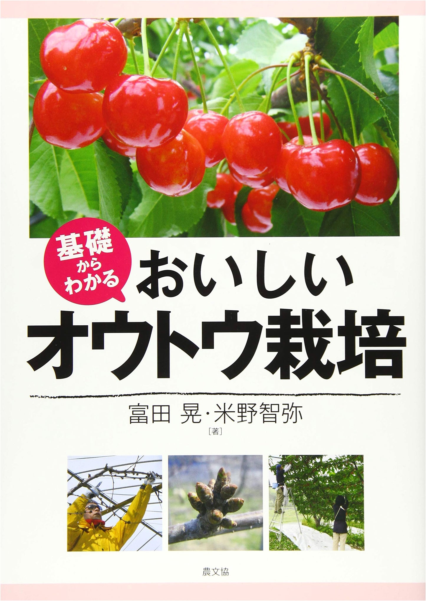 Delicious Cherry Cultivation: A Guide from the Basics