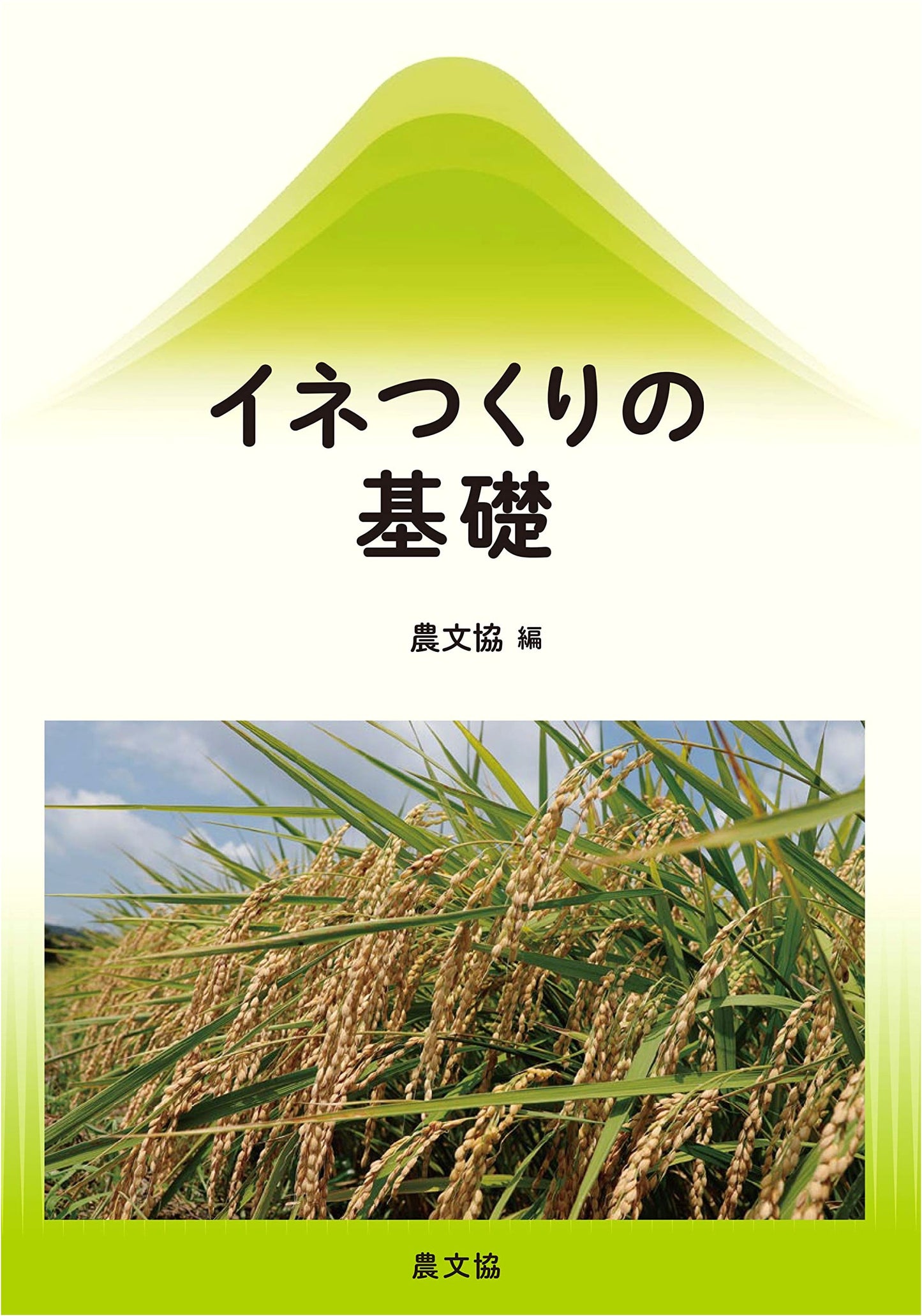 Fundamentals of Rice Cultivation: A Guide to Paddy Farming Techniques