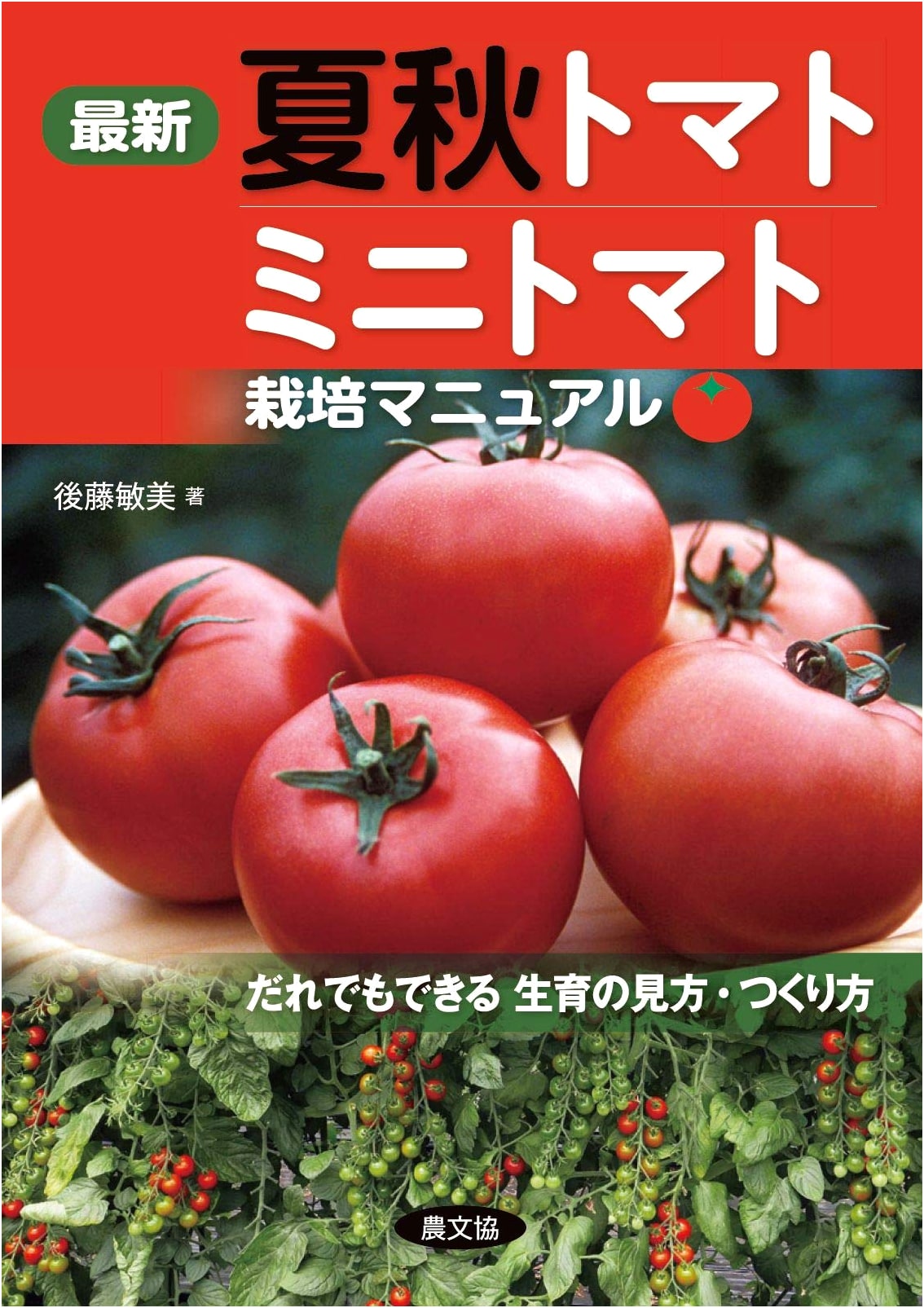 Latest Summer & Autumn Tomato Cultivation Manual: How to Grow for Everyone