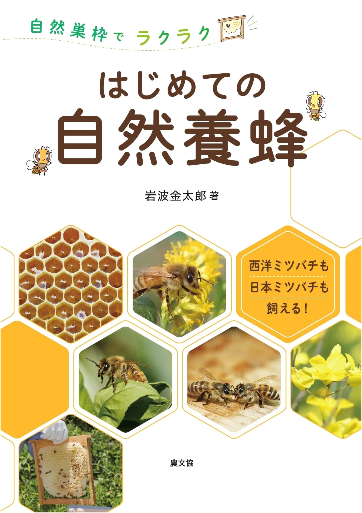 Effortless Natural Beekeeping with Frame Hives by Kintaro Iwanami